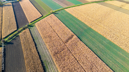 Aerial view of diverse agricultural fields showcasing various crops and brown, green patterns under bright sunlight. Ideal for agriculture, farming, and environmental themes.