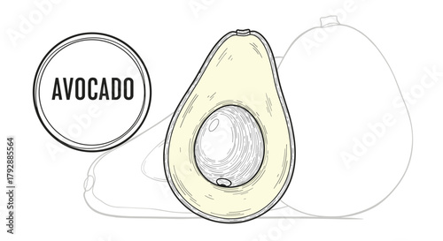 Illustration of a halved avocado with its pit and text label on a white background.