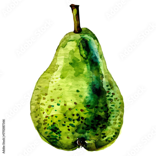 My hand drawn Watercolor illustration, green pear painting illustration isolated on a white background, illustration, AI painting design, vector illustration set, eps format