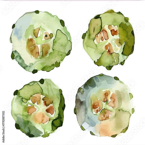 My Watercolor illustration, sliced pickled cucumber painting illustration isolated on a white background, illustration, AI painting design, vector illustration set, eps format