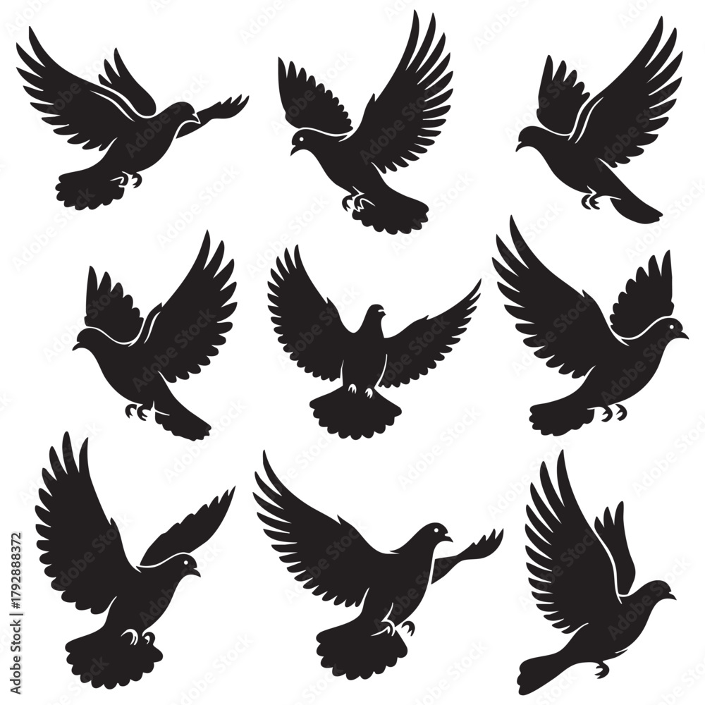 Fototapeta premium Dove silhouette black flying bird isolated on white background. style vector illustration.