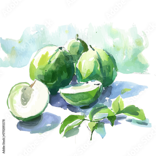 My Watercolor illustration, sliced white guava painting illustration isolated on a white background, illustration, AI painting design, vector illustration set, eps format