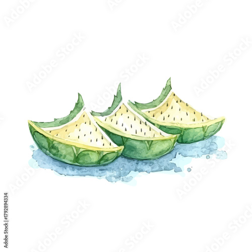 My hand drawn Watercolor illustration, sliced yellow dragon fruit painting illustration isolated on a white background, illustration, AI painting design, vector illustration set, eps format