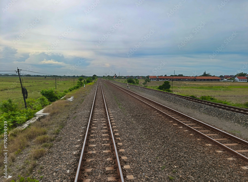 Fototapeta premium Two sets of parallel railroad tracks converging in the distance, surrounded by green trees, grass, and dry earth, with residential buildings visible in the background under a moody cloudy sky.