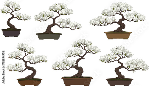 White flowering bonsai tree set, elegant miniature plant illustration for decor design