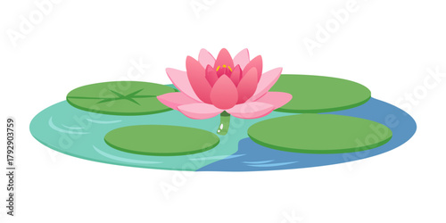 Pink water lotus flower growing in pond.