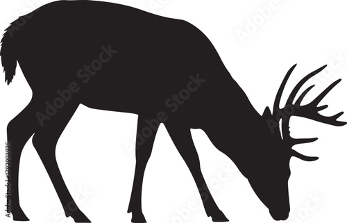 Black silhouette of a buck deer with antlers grazing on a white background vector