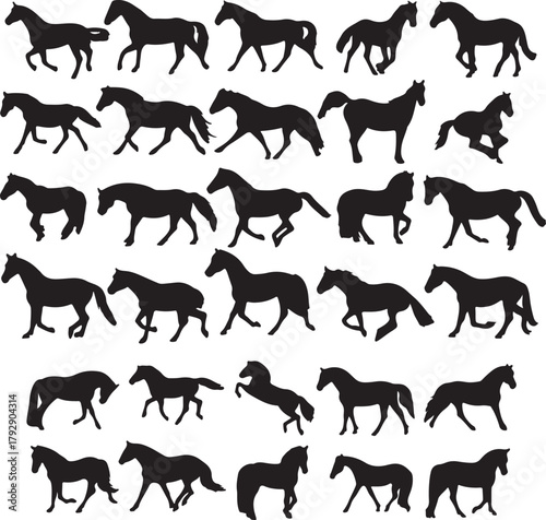 Running Horse Herd and Equine Animal Silhouettes