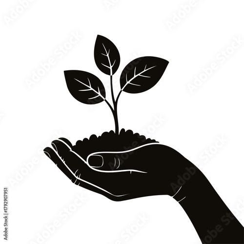 Sprout with a handful of soil in its palms, vector illustration on a transparent background. Agricultural ecology concept.