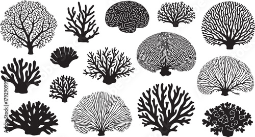 A collection of black and white vector illustrations depicting various coral formations and shapes, silhouetted against a white background.