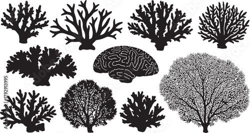 A collection of coral silhouettes surrounds a brain illustration, creating a conceptual image about marine biology, intelligence, or the interconnectedness of nature.