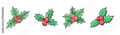 Holly leaves with red berries, hand drawn watercolor for holidays