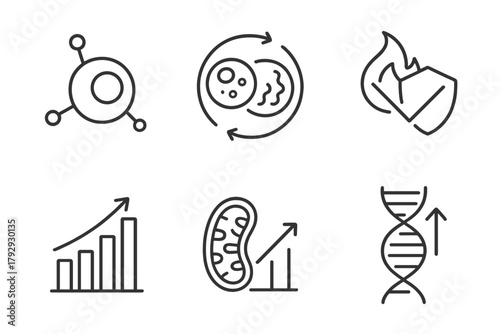 Intermittent Fasting Icons. Line style icons of intermittent fasting: cellular processes, autophagy cycle icon, cell repair