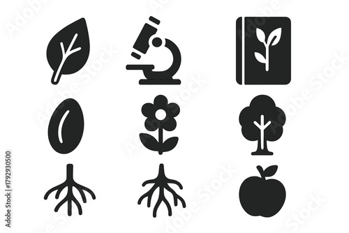 Botanical Study Icons. Solid style icons of Botanical Study: Leaf, Microscope, Herbarium, Seed, Flower, Tree, Root, Fruit, No text