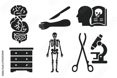 Antique Anatomy Icons. Solid style icons of Antique Anatomy Teaching Tools: Papier-Mâché Organs, Dissection, Medical Study, Drawer