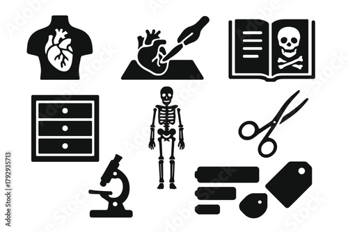 Antique Anatomy Icons. Solid style icons of Antique Anatomy Teaching Tools: Papier-Mâché Organs, Dissection, Medical Study, Drawer