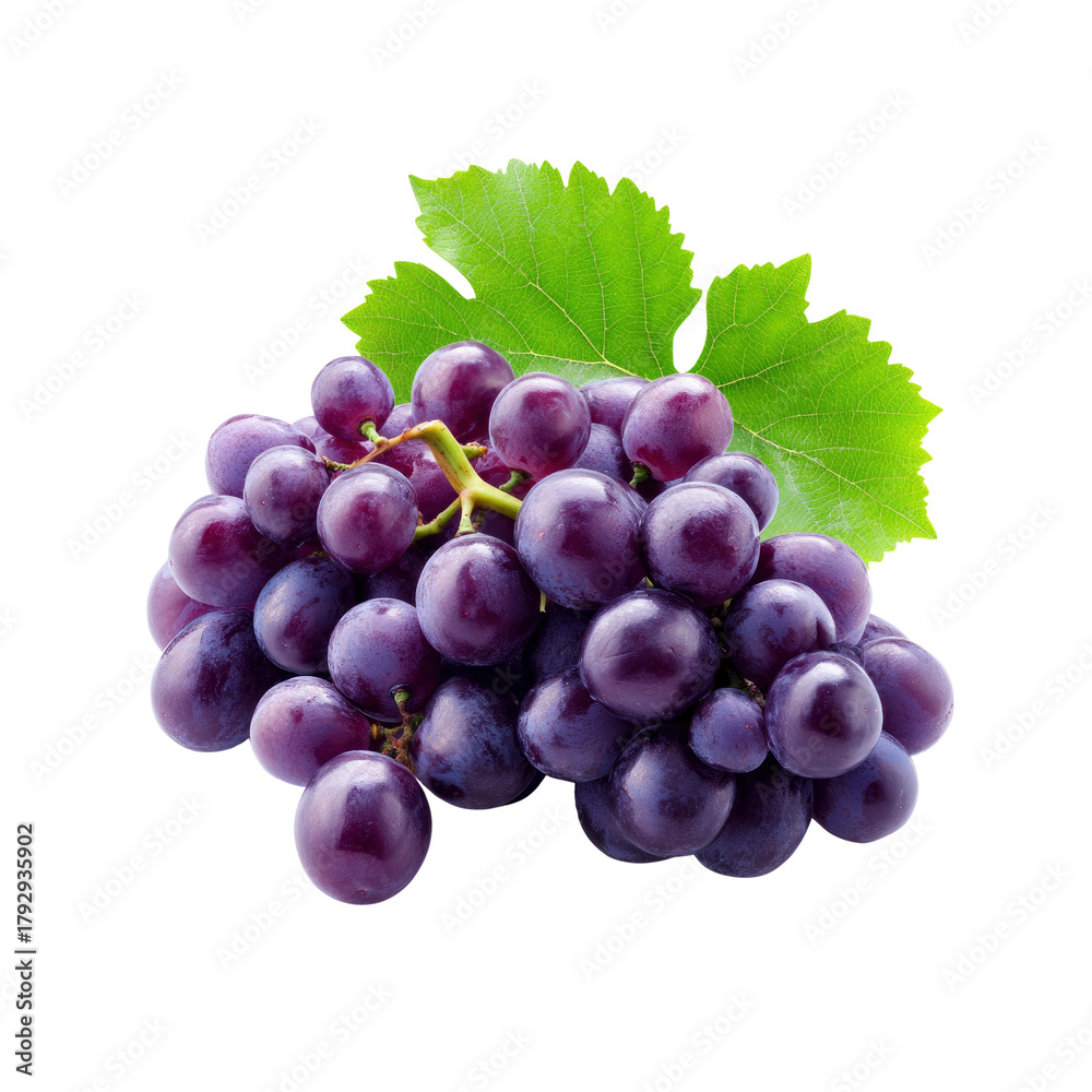 Fototapeta premium Fresh Ripe Purple Grapes
