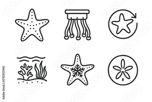 Marine Biology Icons. Line style icons of marine biology: sea star, tube feet, regeneration icon, benthic habitat, echinoderm