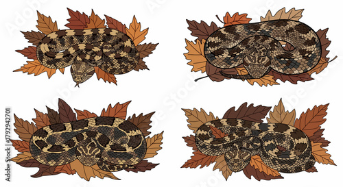 Snakes coiled among autumn leaves with transparent background