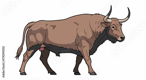 African buffalo portrait with transparent background