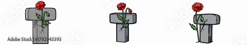 Grave markers with poppies for remembrance with transparent background