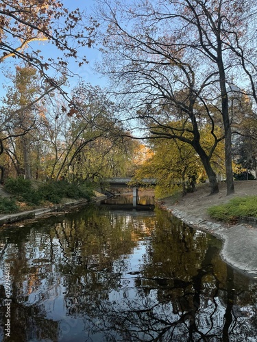 autumn landscape with river