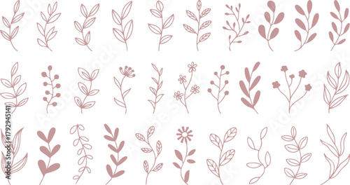 Light pink branches and flowers are beautifully arranged on a simple white background