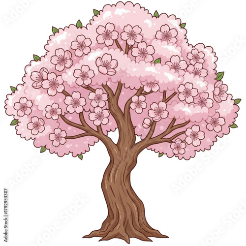 cherry blossom tree