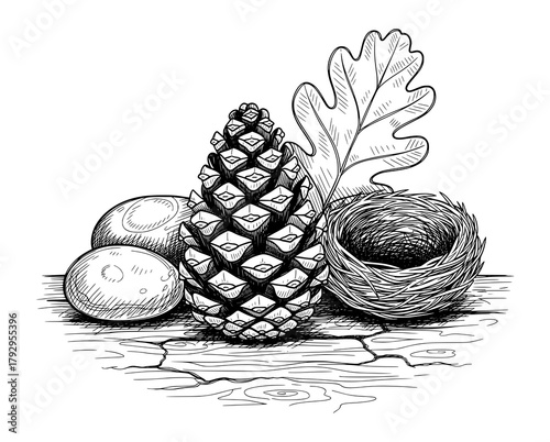 Vintage Hand-Drawn Pine Cone and Nest with Eggs in Engraving Style. Vector Illustration for Rustic Nature Concepts.