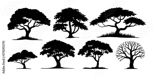 Tree silhouette in vector format, showing leafless branches, perfect for spooky landscapes, barren forest scenes, graphics, minimal nature illustrations, and outdoor-themed design proj
