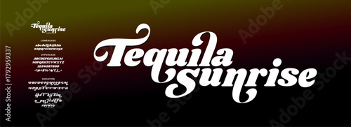 Elegant Font Uppercase Lowercase and Number. Classic Lettering Minimal Fashion Designs. Typography modern serif fonts regular decorative vintage concept. vector illustration