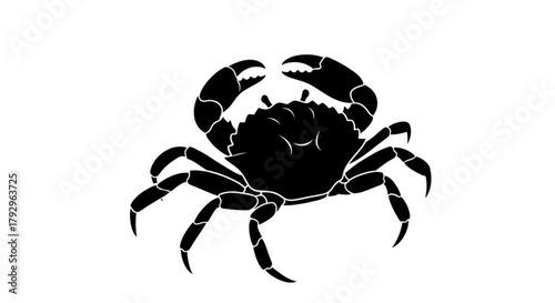 A striking black silhouette of a crab with prominent claws and legs against white background design element