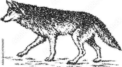 Wolf walking side profile, vintage stipple dotwork vector illustration, monochrome engraving style desert wildlife