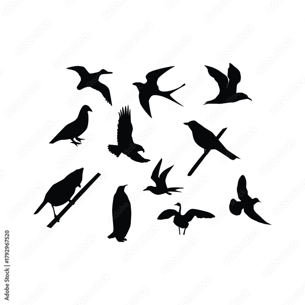 Fototapeta premium Collection of black bird silhouettes in various poses on white background Keywords: bird