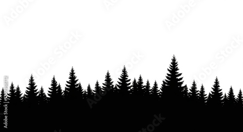Silhouette of a dense forest of evergreen trees against a plain white background creating a stark contrast