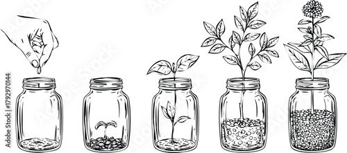 Plant growth stages in jars engraving art design