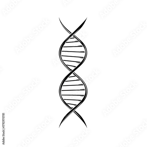 DNA Double Helix
