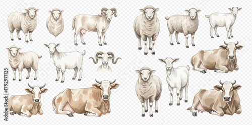 A comprehensive collection of watercolor illustrations showcasing various farm animals including sheep, goats, and cows in different poses and angles.