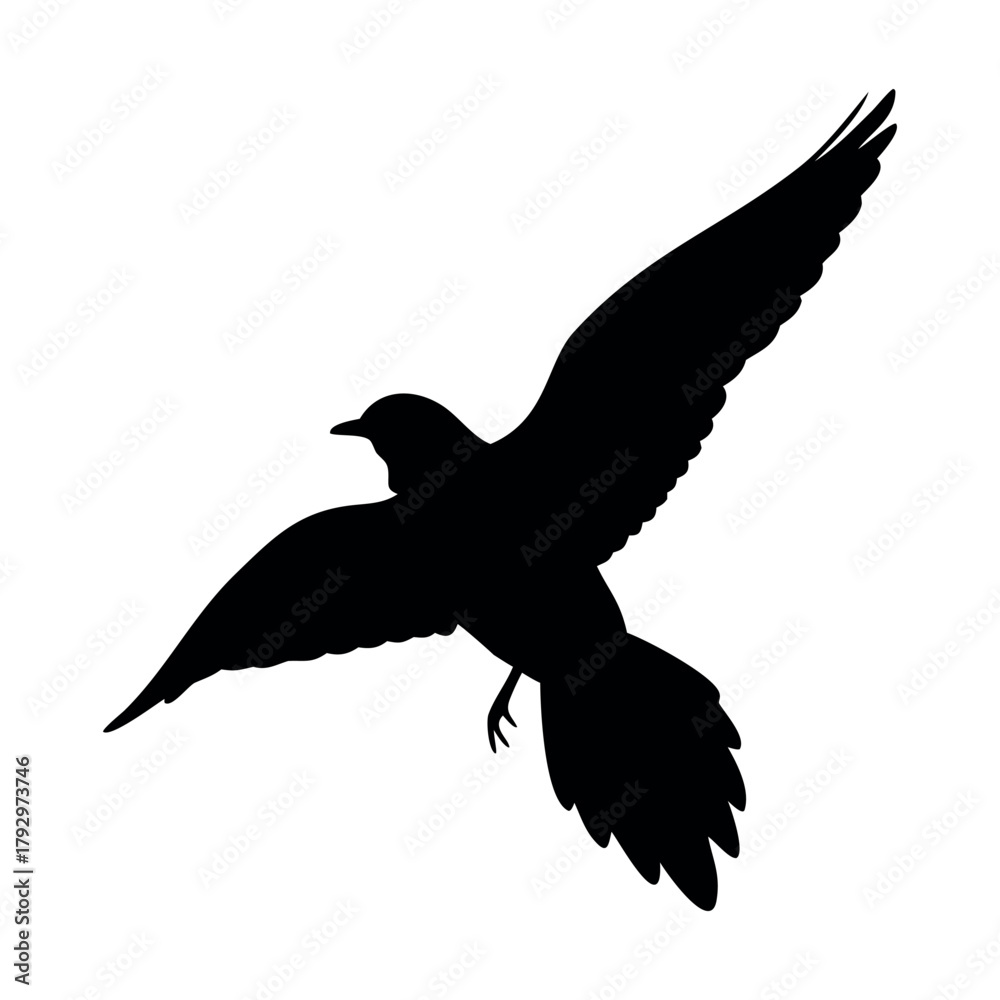 Fototapeta premium Deep black silhouette of a bird flying, clean vector illustration.