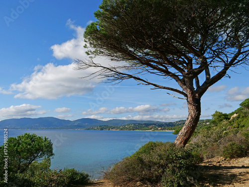 Cavalaire depuis la plage du Gigaro