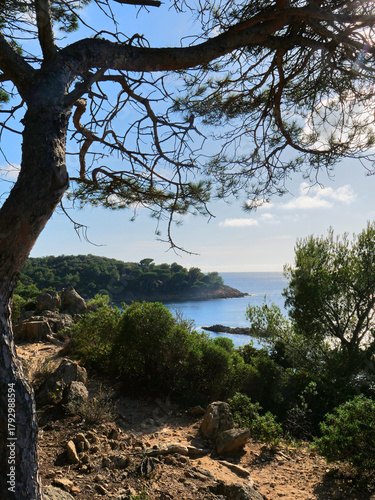Sentier littoral Méditerranéen - pointe du Brouis