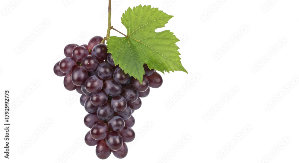 Fototapeta premium Fresh grapes with leaf isolated grapes fruit food healthy on transparent background