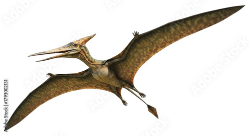 Isolated Pterodactyl soars in flight, showcasing prehistoric animal with impressive wingspan