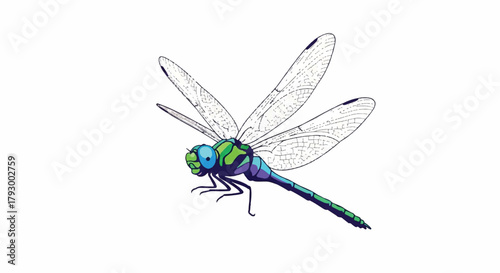 Minimalist flying dragonfly insect presented in a simple, sharp 2D flat vector illustration style, featuring delicate transparent wings isolated on a bright white background.