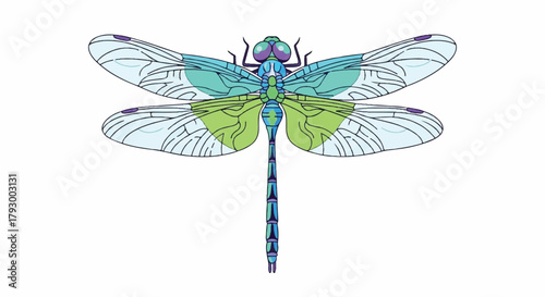 Vibrant 2D flat vector art of a gorgeous summer dragonfly showcasing intricate wings and slender body, perfectly isolated on a solid white background representing natural symbolism.
