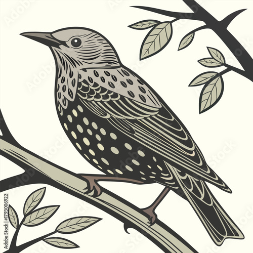 Educational Bird Illustration for Nature and Biology Themes Vector

