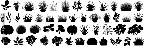 Grasses, plants, shrubs, and small tree silhouettes set, black vector icons, landscape design elements, garden clipart, isolated nature illustration collection