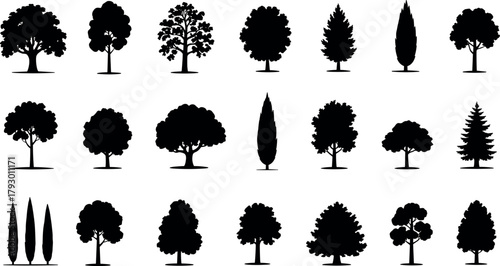 Tree silhouettes collection black vector design nature forest woodland icons graphic illustrations simple