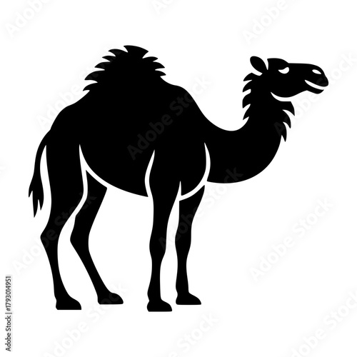 Camel Silhouette: A striking silhouette of a camel stands proud, capturing the essence of the desert. The animal exudes a sense of strength, resilience, and unique charm.