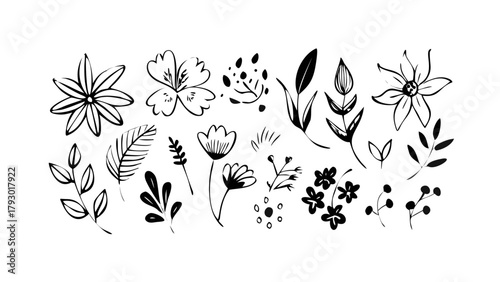 Many different faces, leaves, flowers, and shapes in an ink painting style. Simple, modern drawings made by hand. Lines are smooth and basic. All parts are separate. vector icon